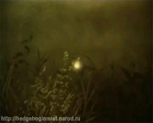 Ежик в тумане, кадр №20